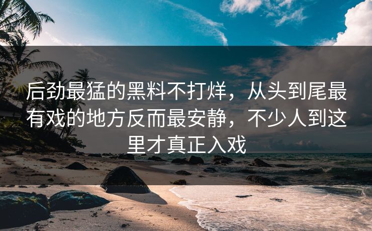后劲最猛的黑料不打烊，从头到尾最有戏的地方反而最安静，不少人到这里才真正入戏