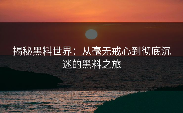 揭秘黑料世界：从毫无戒心到彻底沉迷的黑料之旅
