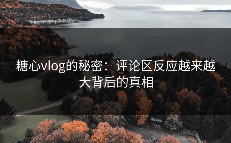 糖心vlog的秘密：评论区反应越来越大背后的真相