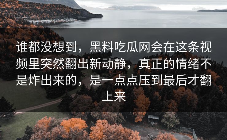 谁都没想到，黑料吃瓜网会在这条视频里突然翻出新动静，真正的情绪不是炸出来的，是一点点压到最后才翻上来