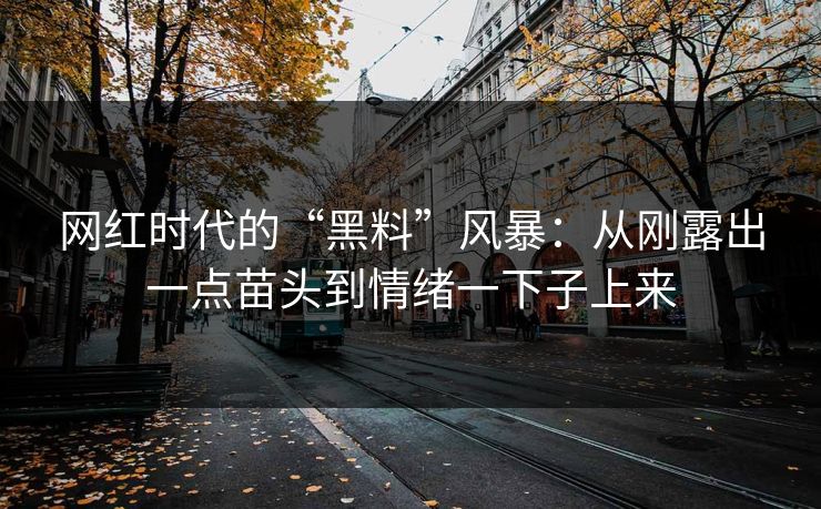 网红时代的“黑料”风暴：从刚露出一点苗头到情绪一下子上来