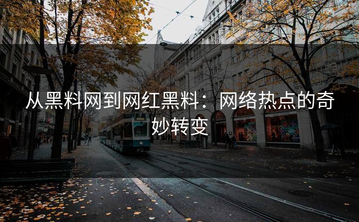 从黑料网到网红黑料：网络热点的奇妙转变