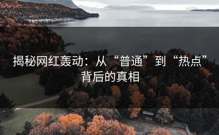 揭秘网红轰动：从“普通”到“热点”背后的真相