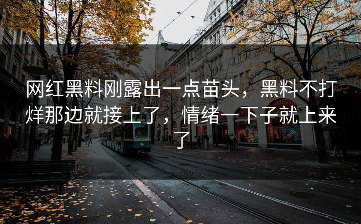 网红黑料刚露出一点苗头,黑料不打烊那边就接上了,情绪一下子就上来了 网红黑料刚露出一点苗头,黑料不打烊那边就接上了,情绪一下子就上来了