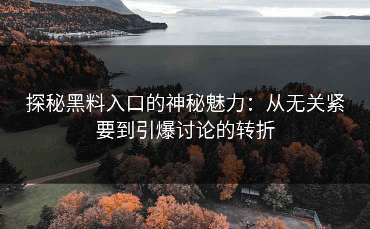 探秘黑料入口的神秘魅力：从无关紧要到引爆讨论的转折