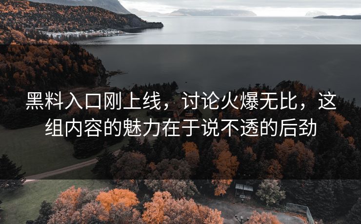黑料入口刚上线，讨论火爆无比，这组内容的魅力在于说不透的后劲