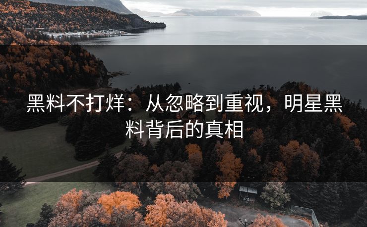 黑料不打烊：从忽略到重视，明星黑料背后的真相