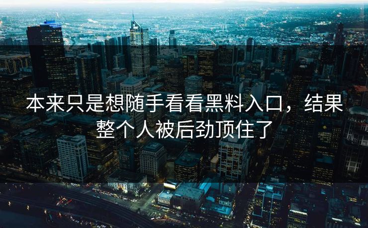 本来只是想随手看看黑料入口，结果整个人被后劲顶住了