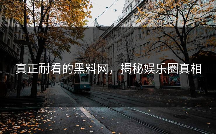 真正耐看的黑料网，揭秘娱乐圈真相